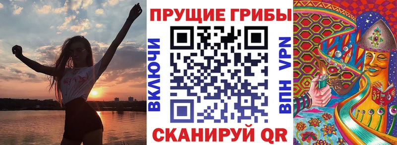 Псилоцибиновые грибы GOLDEN TEACHER  мега ССЫЛКА  маркетплейс наркотические препараты  Котово 